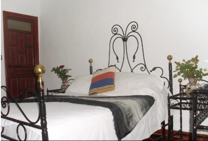 Hostel The Atlas Lion แทนเจียร์ ภายนอก รูปภาพ
